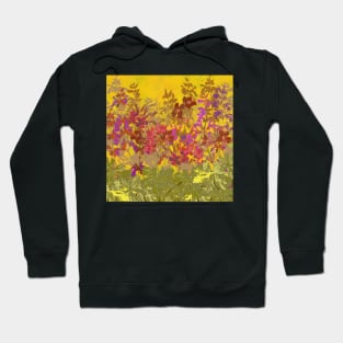 A Day in the Sun (Geraniums) Hoodie